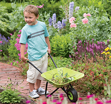 Steel kids wheelbarrow WB26033.png